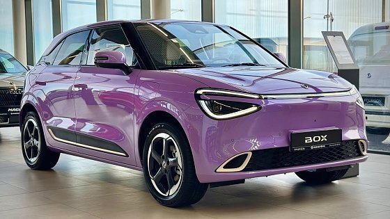 Video: 2026 Dongfeng Box - Visual Review of the Car