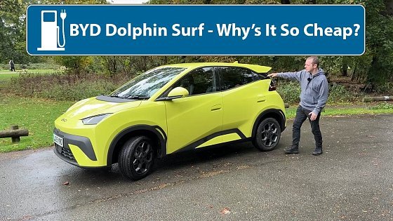 Video: BYD Dolphin Surf - What's Wrong With It???