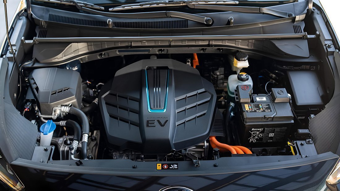 Kia Niro EV Long Range (2018-2022) передний багажник (frunk), под капотом, место для хранения, груз, вместимость, дополнительное пространство