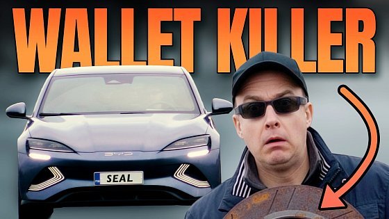 Video: Top 5 BYD SEAL Problems After 20 Months – One Issue Emptied My Wallet ?