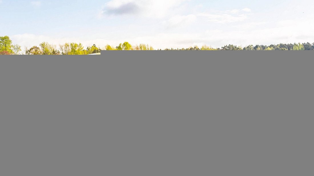 Tesla Model 3 Standard Range Plus (2019-2021) вид сбоку, силуэт, двери, колеса, экстерьер
