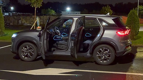 Video: BYD Atto 2 Night Lights Review
