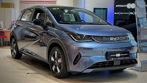 Video: 2025 BYD Dolphin | Fashion - Visual Review of the Car