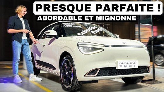 Video: Dongfeng Nammi Box: ENFIN une citadine électrique ABORDABLE !