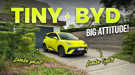 Video: BYD Dolphin Surf - Not just a Tiny City Car! ⚡️