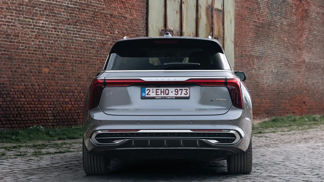 Hongqi E-HS9 99 kWh (2022-...) вид сзади, задние фонари, багажник, спойлер, эмблема, бампер, экстерьер