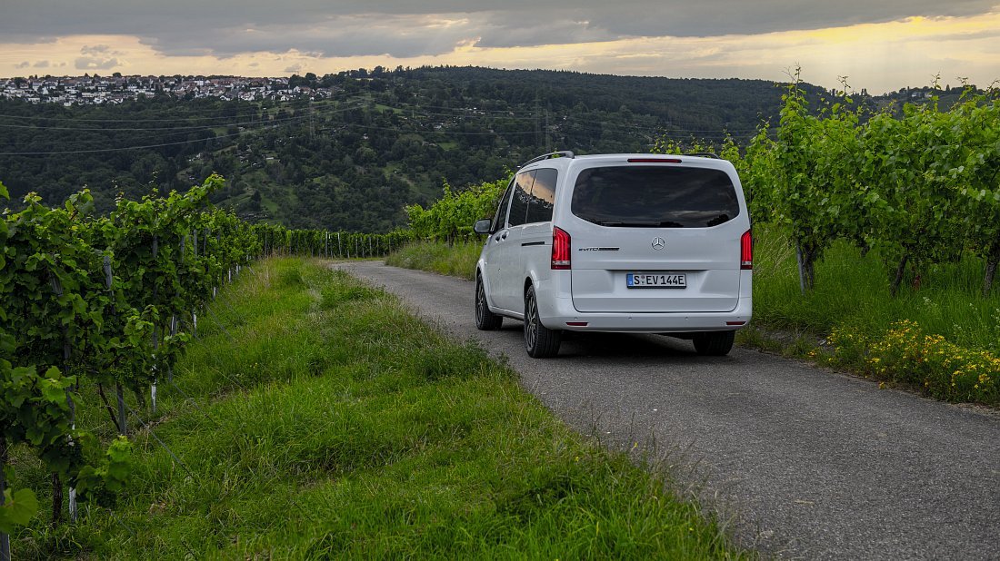 Mercedes eVito Tourer Long 90 kWh (2020-2023) вид сзади, задние фонари, багажник, спойлер, эмблема, бампер, экстерьер