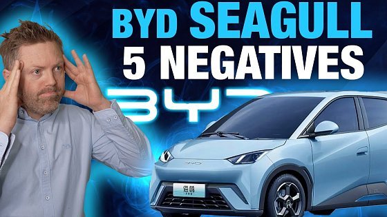 Video: BYD Dolphin Surf, Seagull & Dolphin Mini: What No One Tells You (The Downsides)