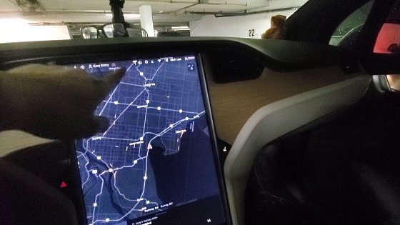 Video: Model X 2021 Long Range Plus going crazy... with bugs